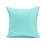 Solid Powder Blue Throw Pillow Cover