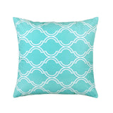 Bono Aqua Throw Pillow Cover