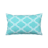 Bono Aqua Blue and White Throw Pillow Cover